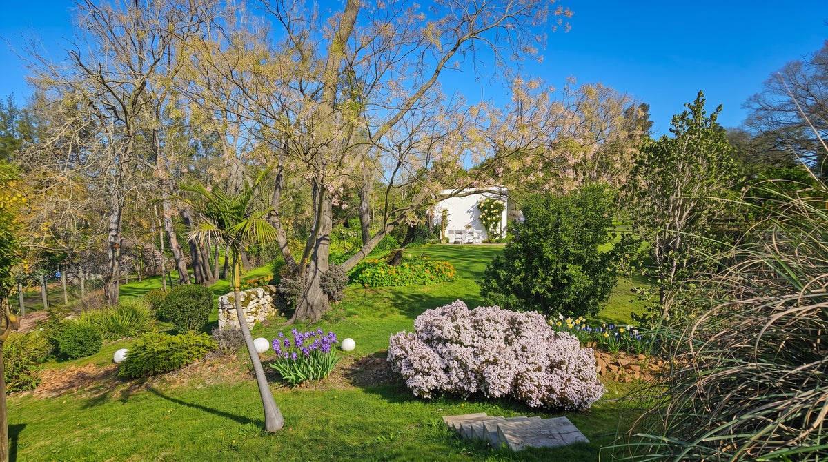 Property 3420577 - Image 73
