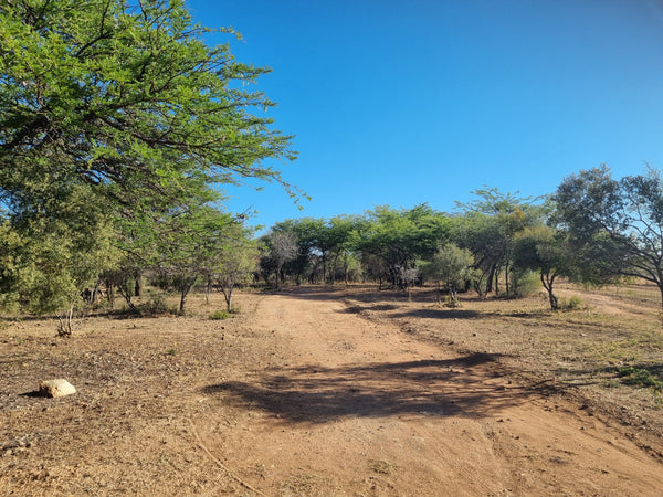 Property 375488 - Image 16