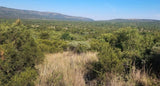 Property 387061 - Image 23