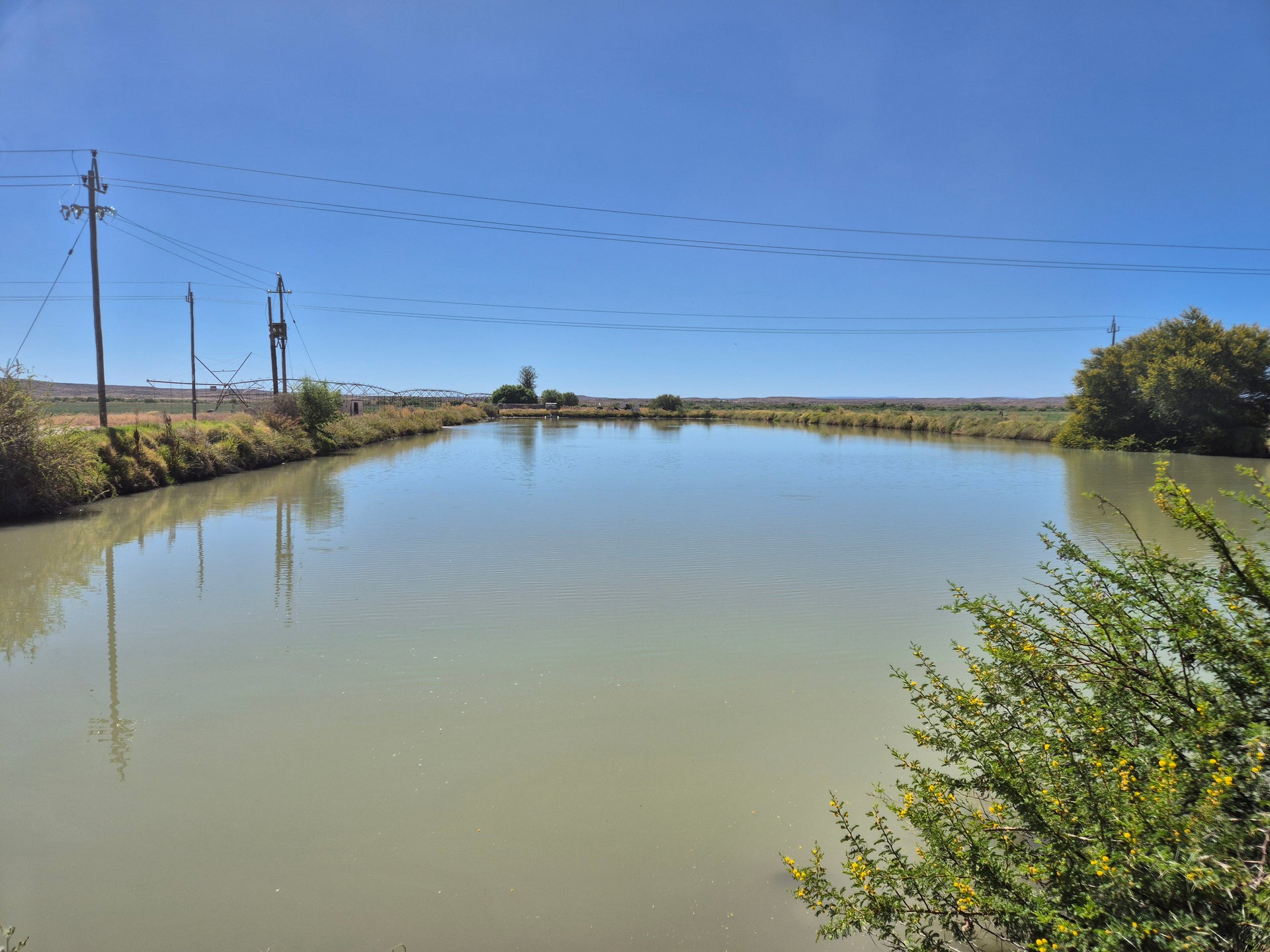 Property 388233 - Image 11