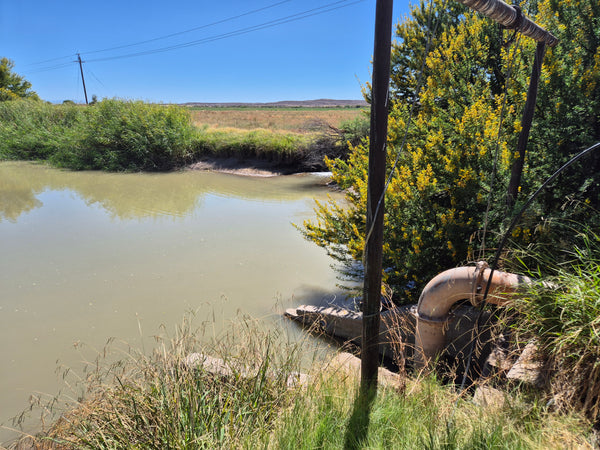 Property 388233 - Image 12