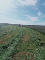 Property 388233 - Image 2