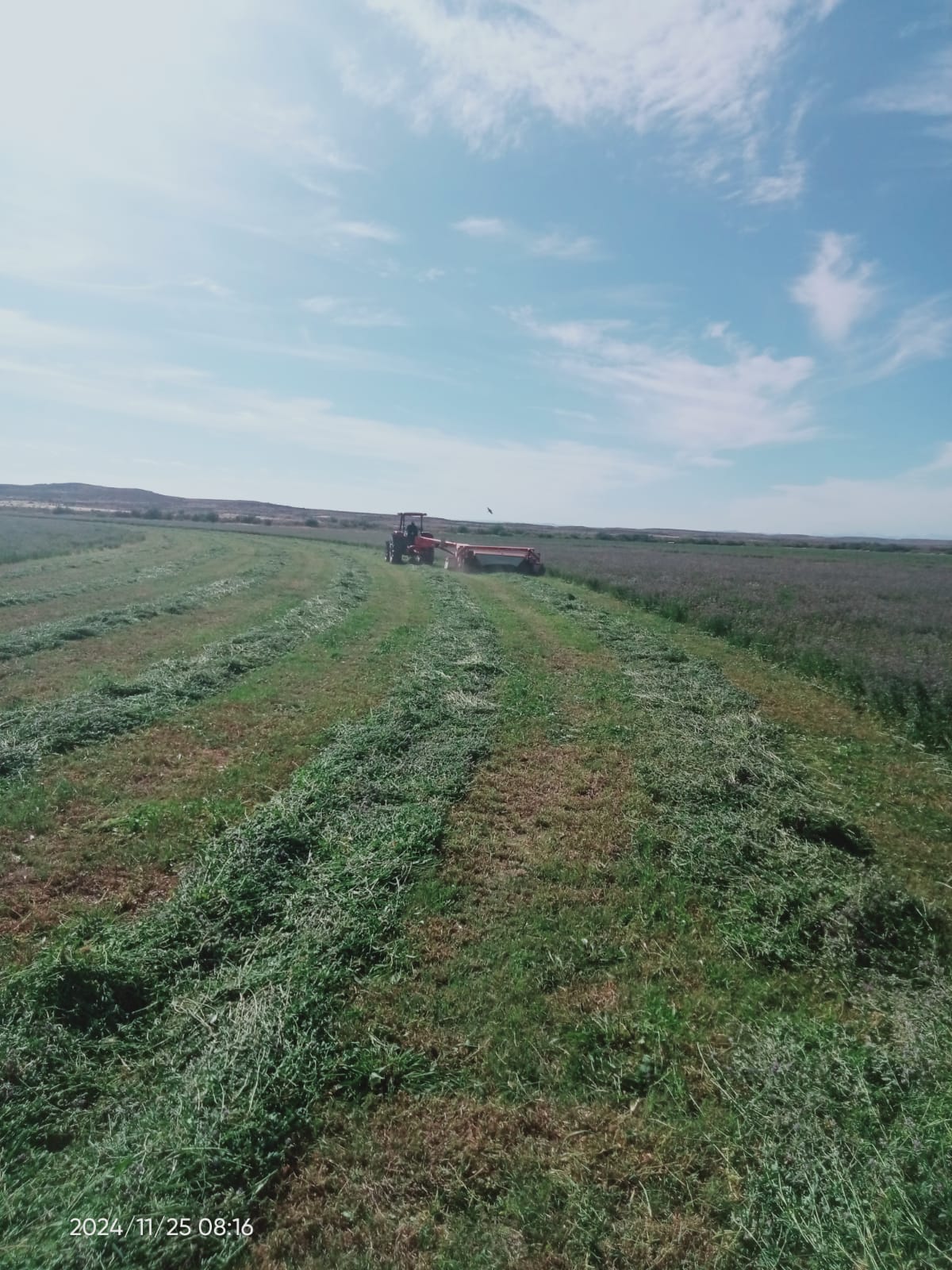 Property 388233 - Image 2