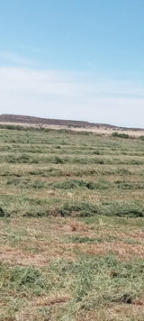 Property 388233 - Image 3