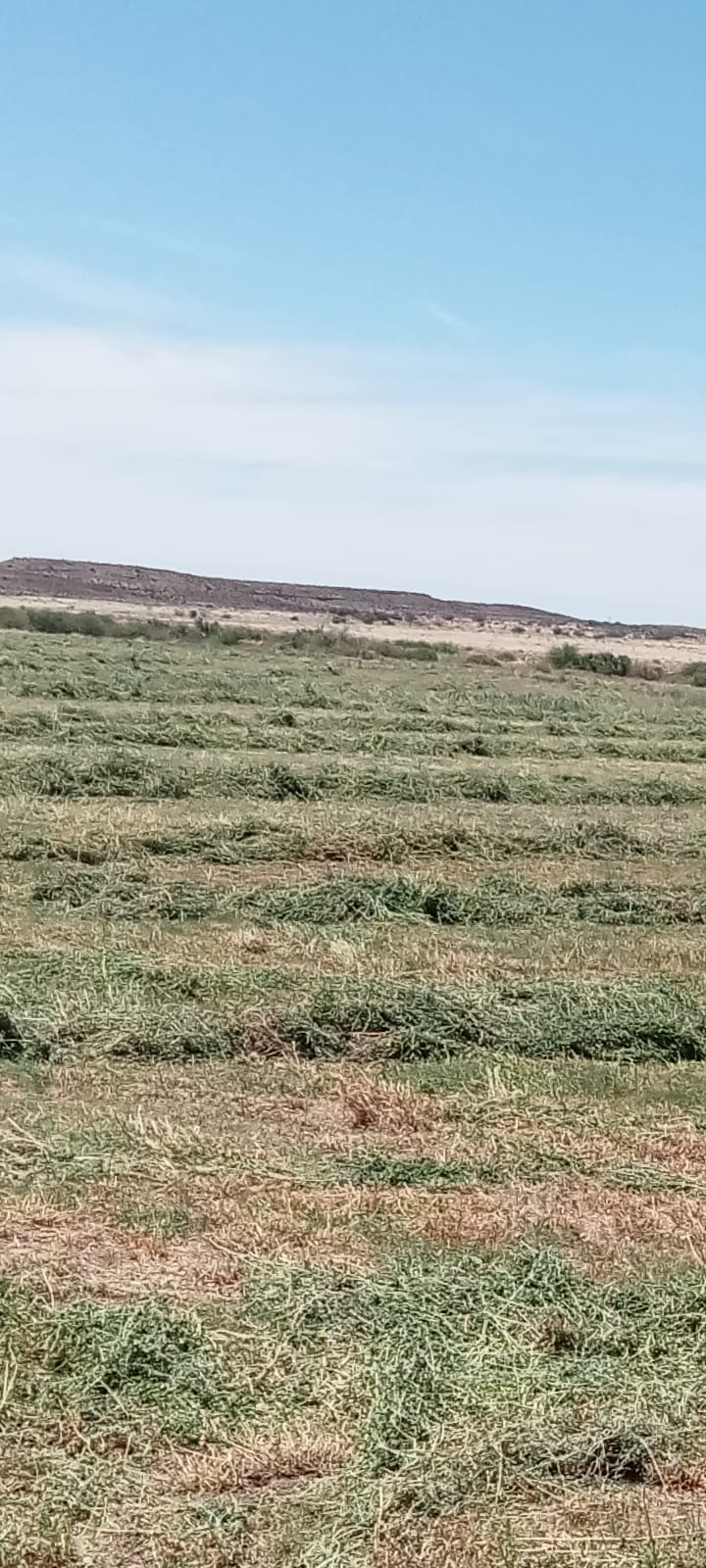 Property 388233 - Image 3