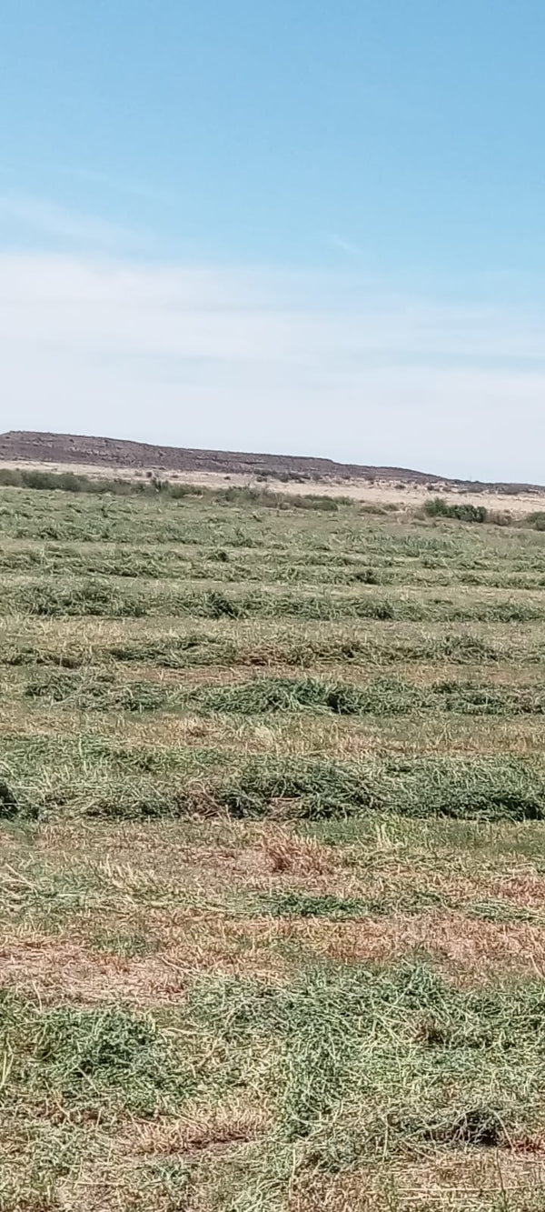 Property 388233 - Image 3