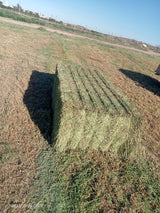 Property 388233 - Image 4