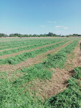 Property 388233 - Image 5