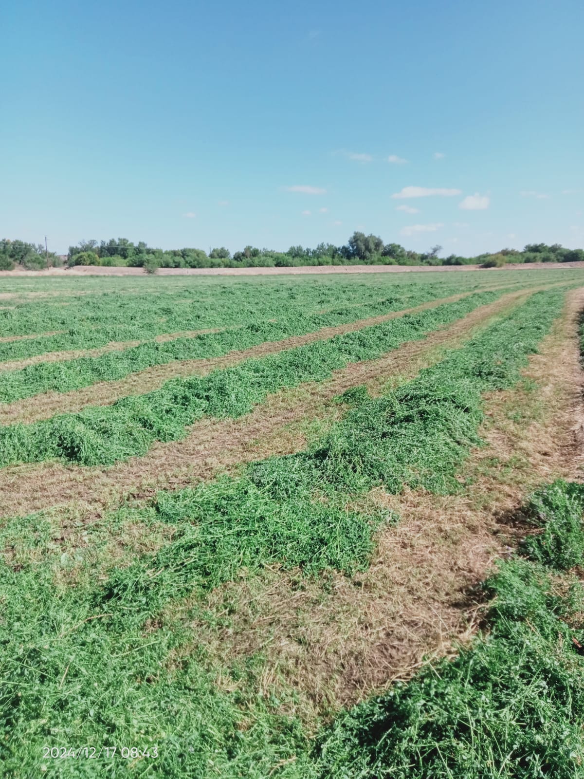 Property 388233 - Image 5