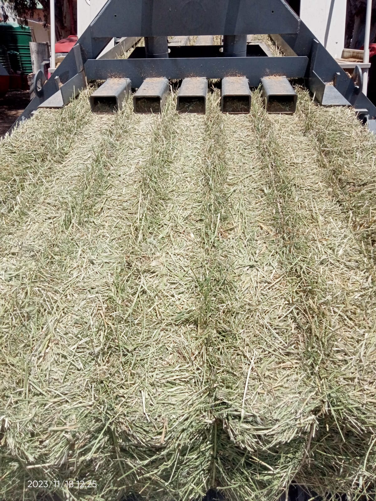 Property 388233 - Image 6