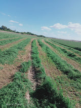 Property 388233 - Image 7