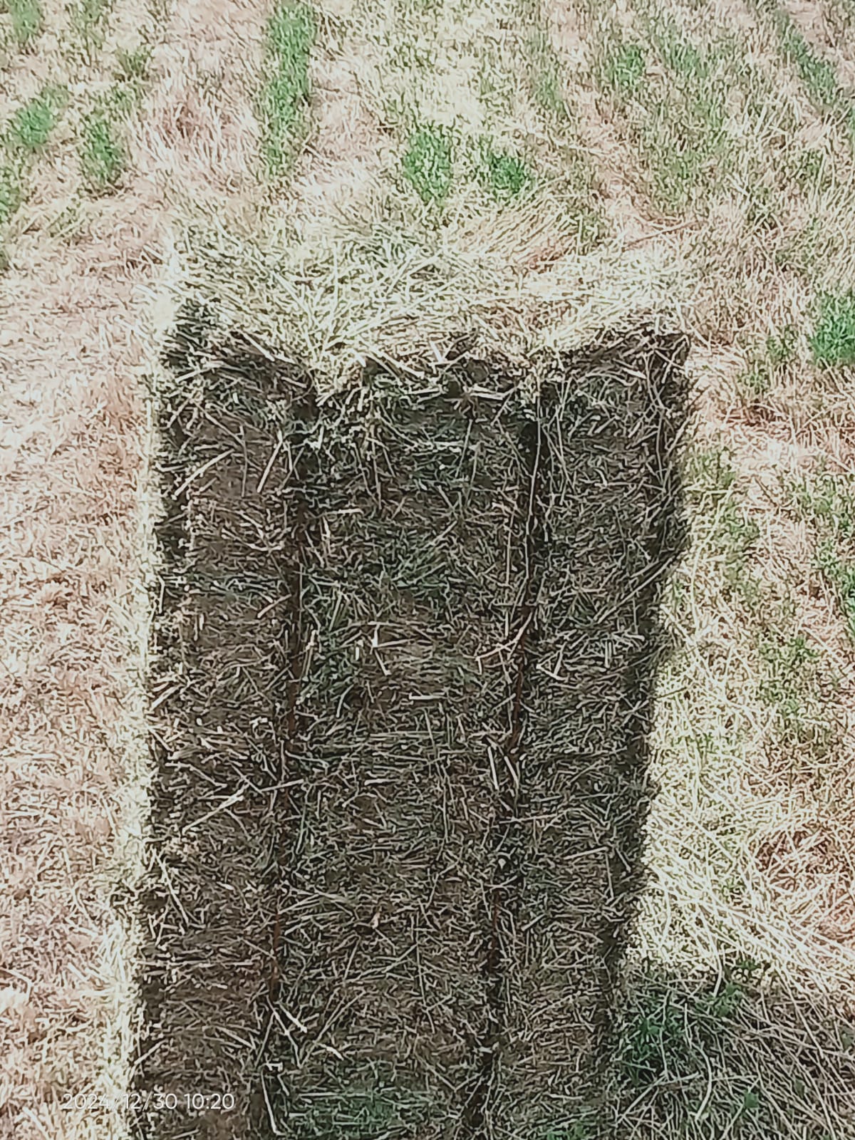 Property 388233 - Image 8