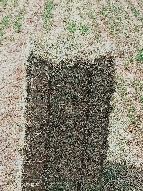 Property 388233 - Image 8