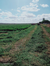 Property 388233 - Image 9