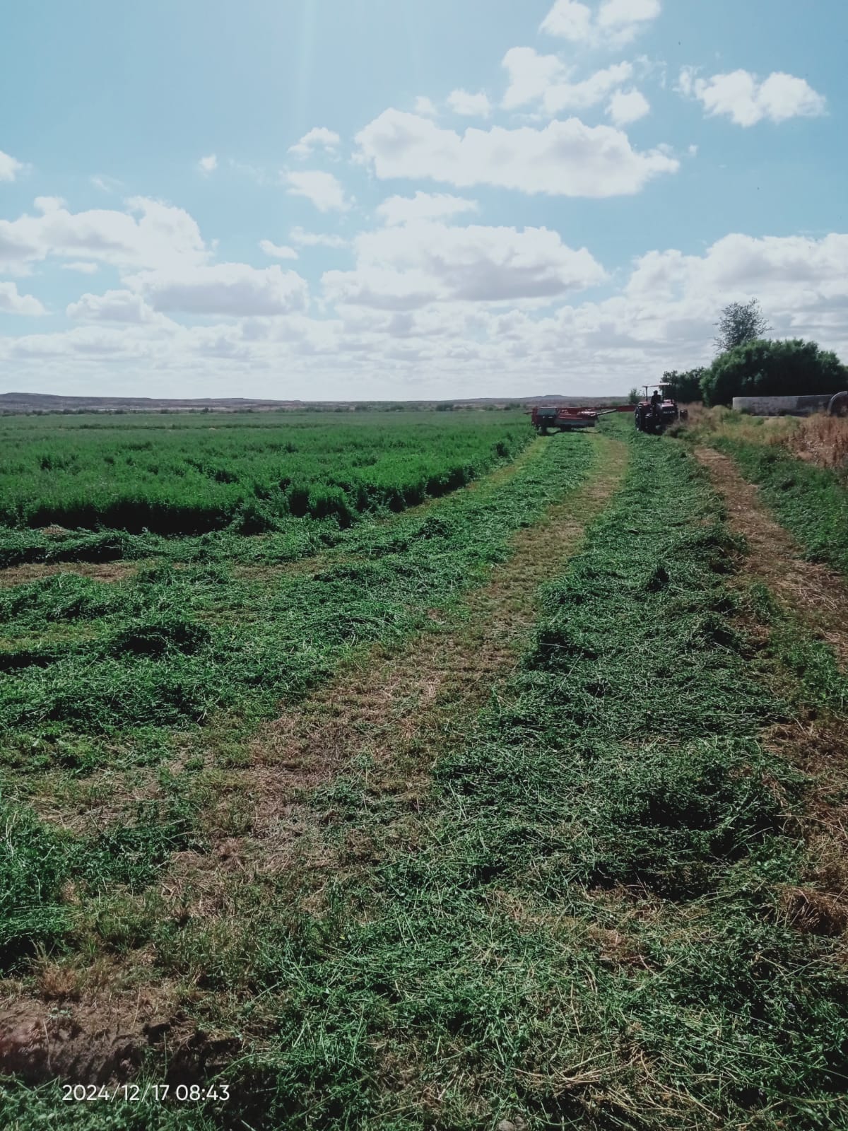 Property 388233 - Image 9