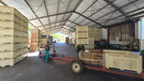 Property 400357 - Image 7
