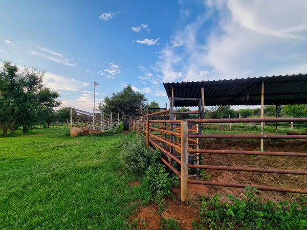 Property 406949 - Image 14