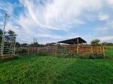 Property 406949 - Image 15