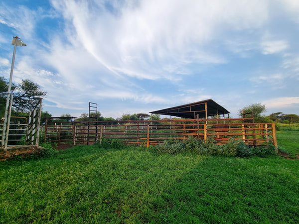 Property 406949 - Image 15