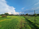 Property 406949 - Image 20