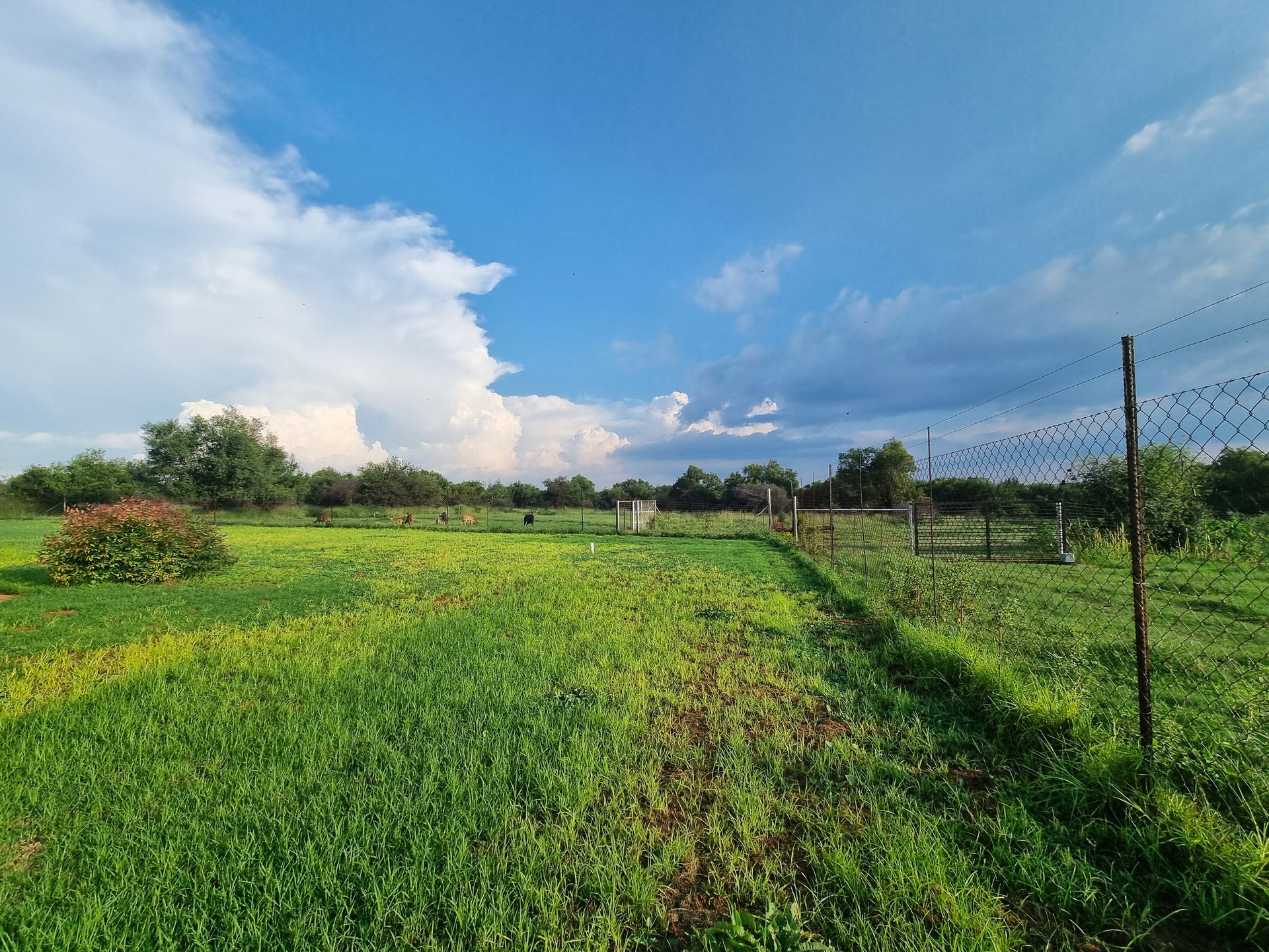Property 406949 - Image 20