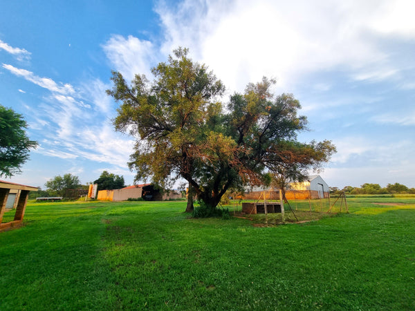 Property 406949 - Image 9