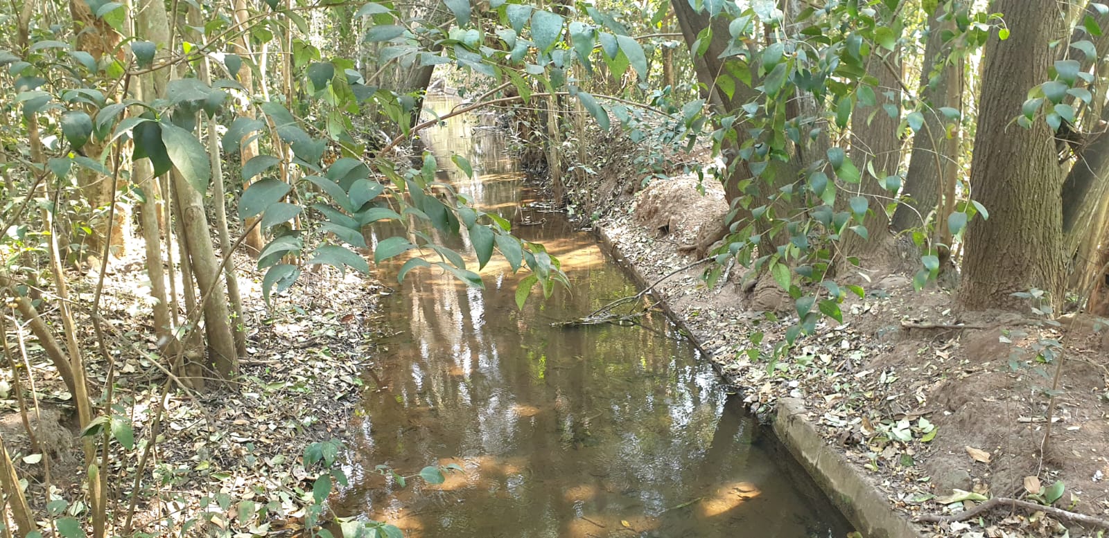 Property 415010 - Image 12