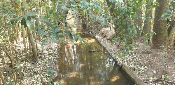 Property 415010 - Image 12