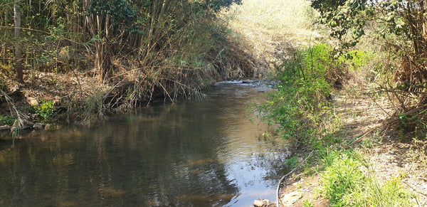 Property 415010 - Image 14