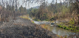 Property 415010 - Image 3