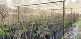 Property 415010 - Image 30