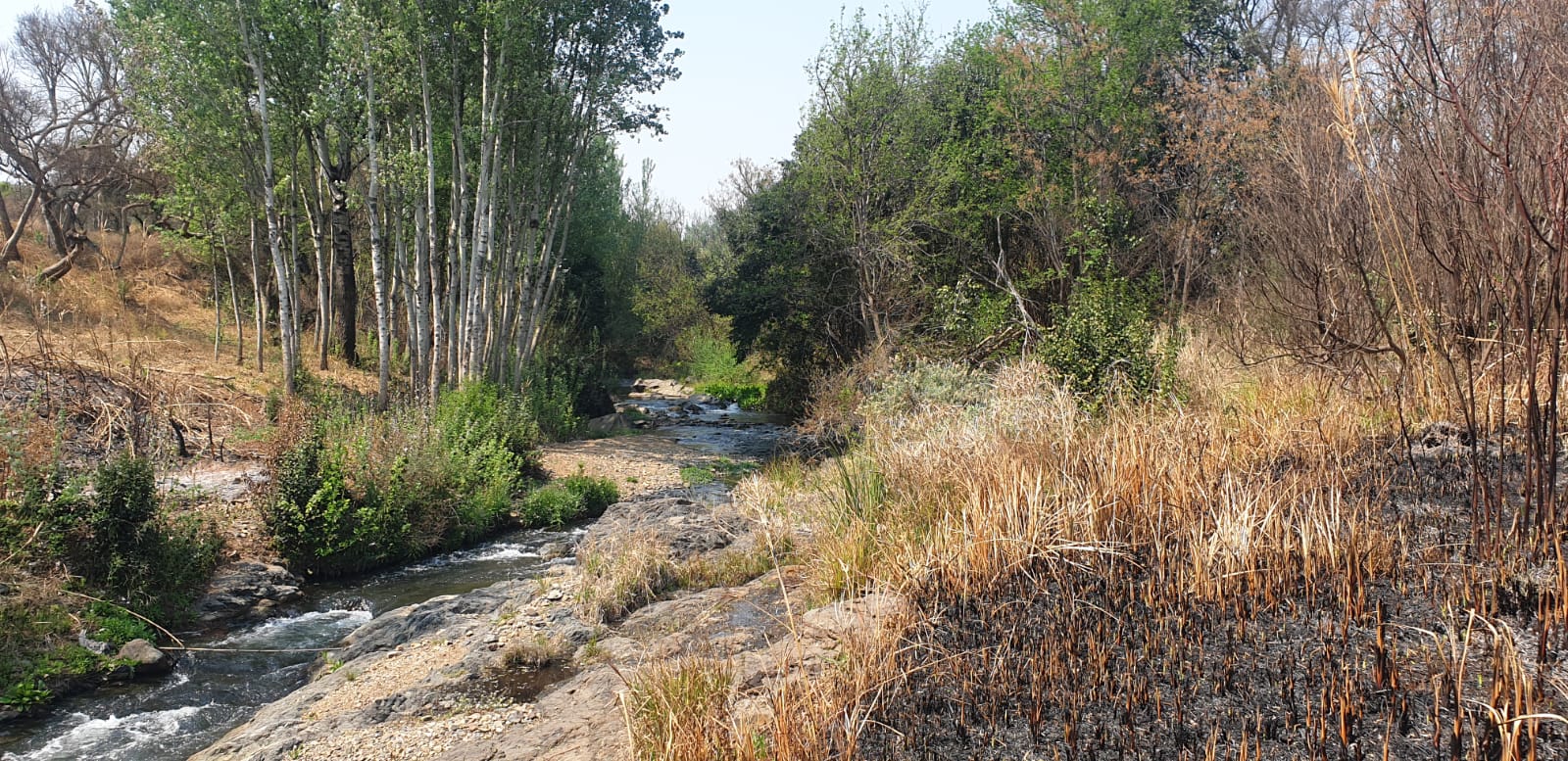 Property 415010 - Image 6