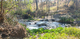 Property 415010 - Image 7