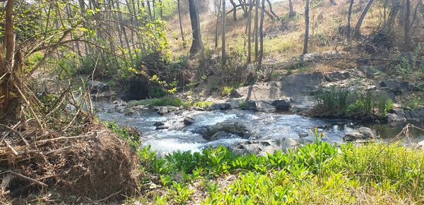 Property 415010 - Image 7