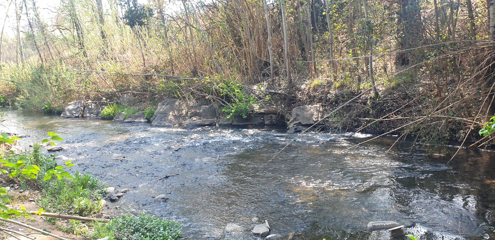 Property 415010 - Image 8