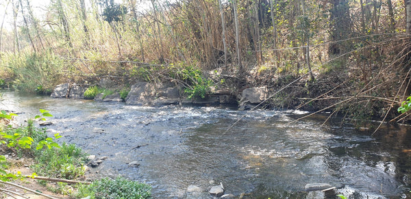 Property 415010 - Image 8