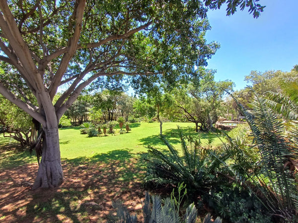 Property 415801 - Image 1