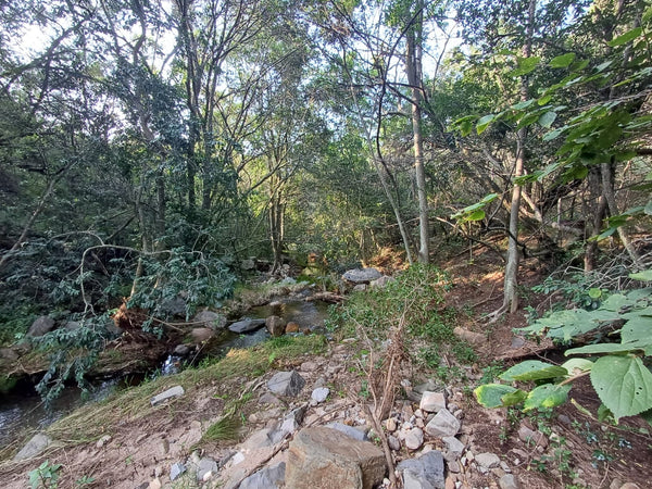 Property 415801 - Image 15