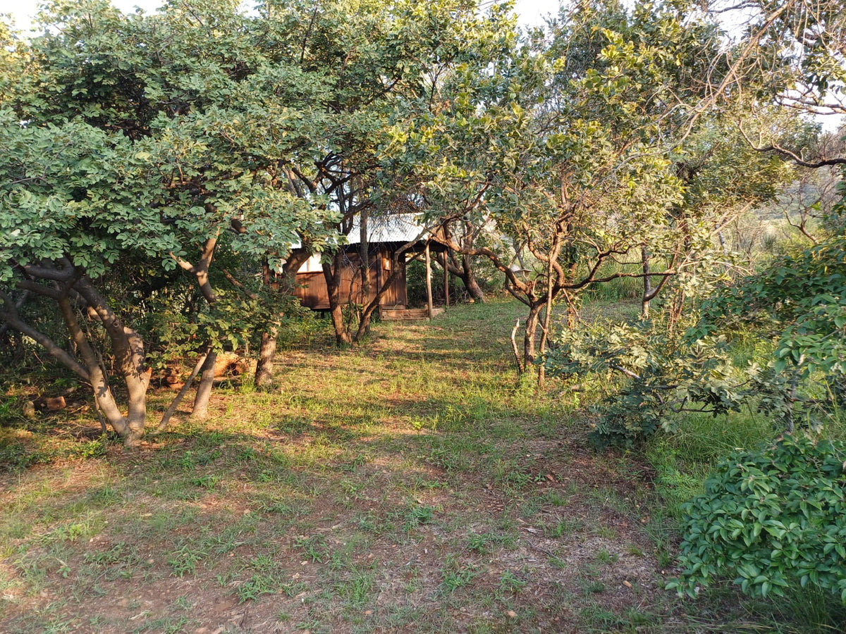 Property 415801 - Image 17