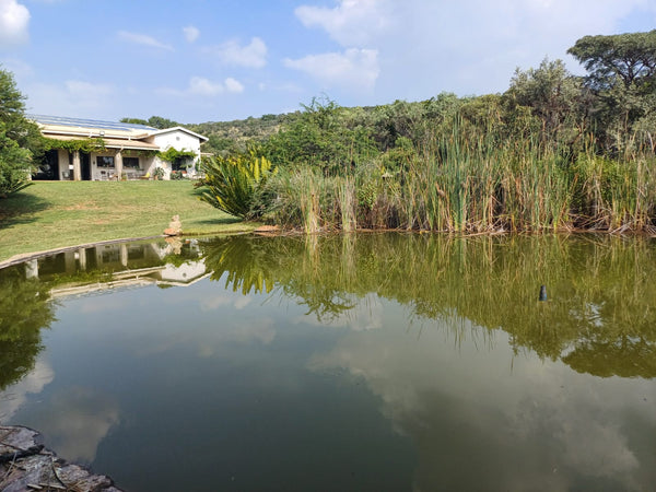 Property 415801 - Image 23