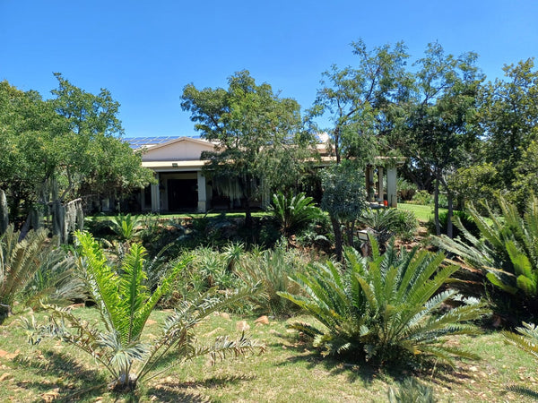 Property 415801 - Image 25