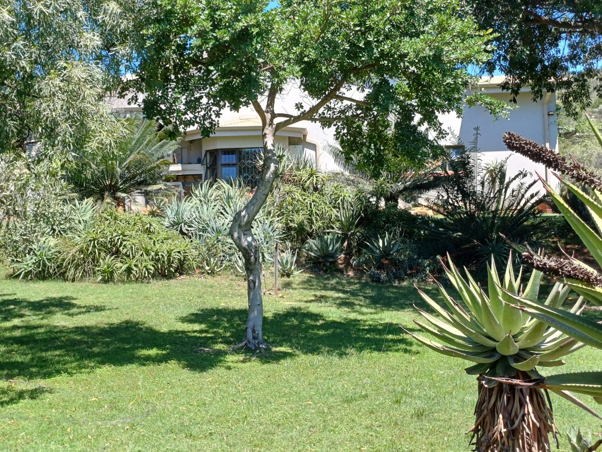 Property 415801 - Image 41