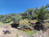 Property 415801 - Image 42