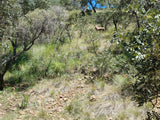 Property 415801 - Image 43