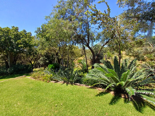 Property 415801 - Image 45