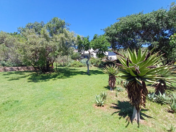 Property 415801 - Image 46