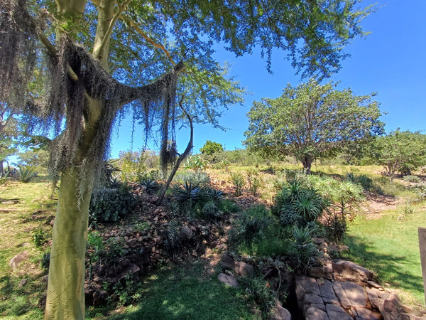 Property 415801 - Image 47