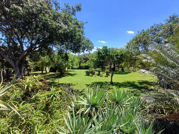 Property 415801 - Image 51
