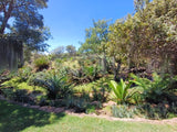Property 415801 - Image 52