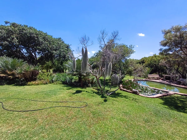 Property 415801 - Image 54